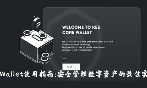 tpWallet使用指南：安全管理数字资产的最佳实践