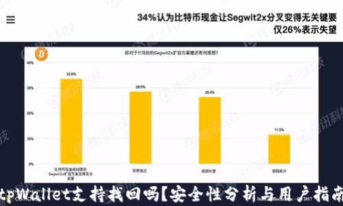 
tpWallet支持找回吗？安全性分析与用户指南