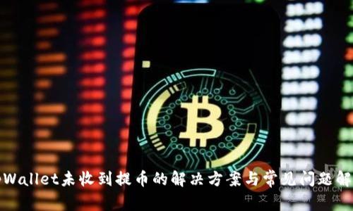 tpWallet未收到提币的解决方案与常见问题解析
