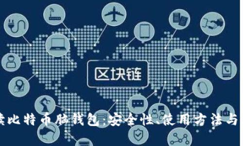 全面解读比特币脑钱包：安全性、使用方法与风险分析