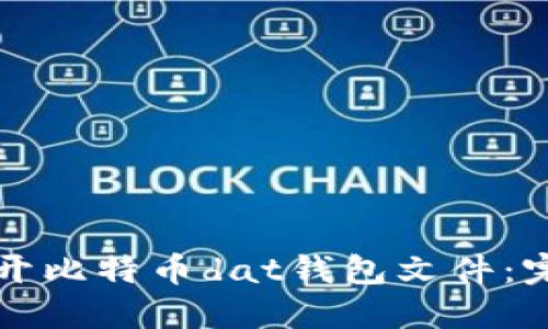 如何打开比特币dat钱包文件：完全指南