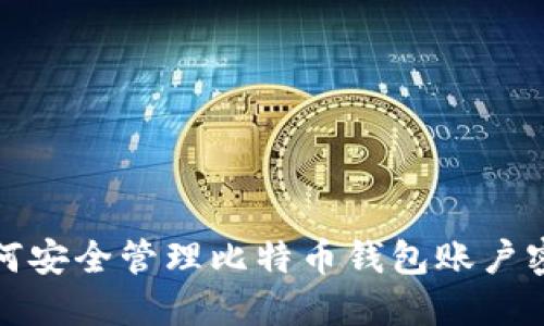 如何安全管理比特币钱包账户密码