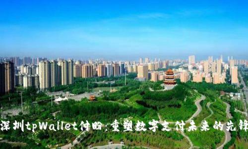 深圳tpWallet付盼：重塑数字支付未来的先锋