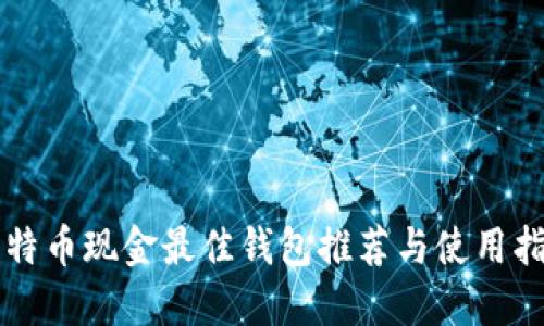 比特币现金最佳钱包推荐与使用指南