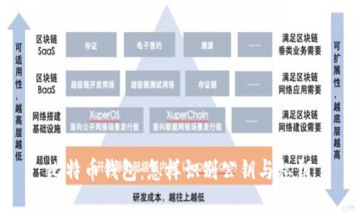 比特币钱包：怎样识别公钥与私钥