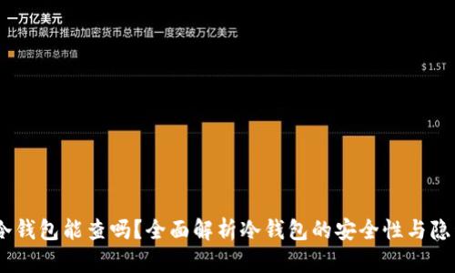 USDT冷钱包能查吗？全面解析冷钱包的安全性与隐私保护