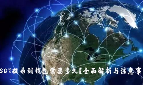 USDT提币到钱包需要多久？全面解析与注意事项