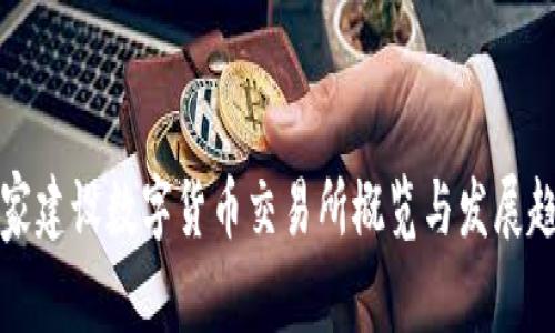国家建设数字货币交易所概览与发展趋势