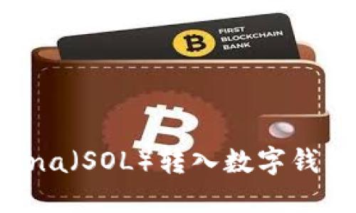 如何将Solana（SOL）转入数字钱包：全面指南