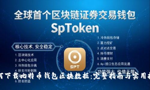 如何下载比特币钱包区块数据：完整指南与实用技巧