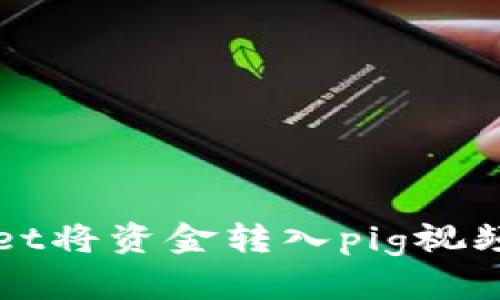 如何使用tpWallet将资金转入pig视频平台的详细指南