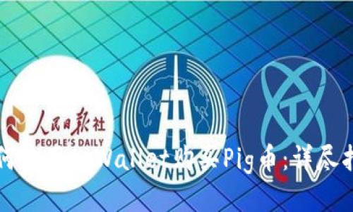 如何使用tpWallet购买Pig币：详尽指南