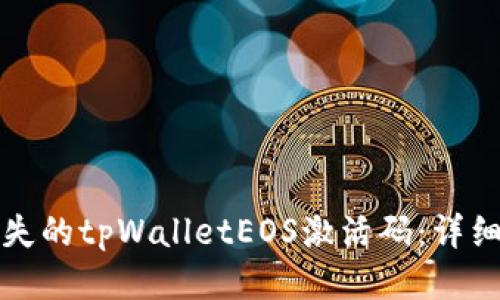 如何找回丢失的tpWalletEOS激活码：详细步骤与技巧