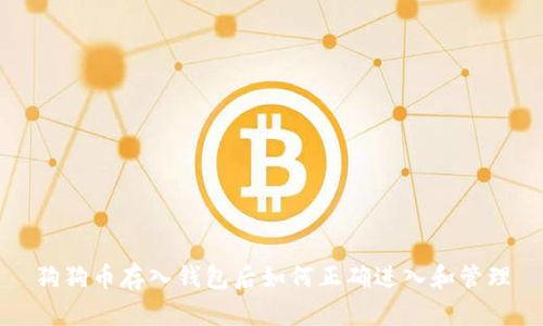 狗狗币存入钱包后如何正确进入和管理