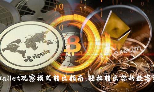 tpWallet观察模式转出指南：轻松转出你的数字资产