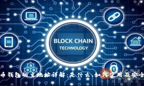 : 比特币钱包的主地址详解：是什么、如何使用及安全性分析