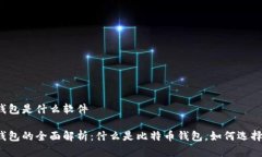 比特币存储钱包是什么软