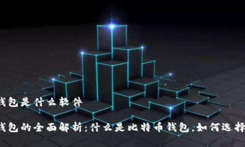 比特币存储钱包是什么软件

比特币存储钱包的全面解析：什么是比特币钱包，如何选择合适的钱包？