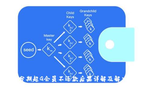 即分期超G会员不还款后果详解及解决方案