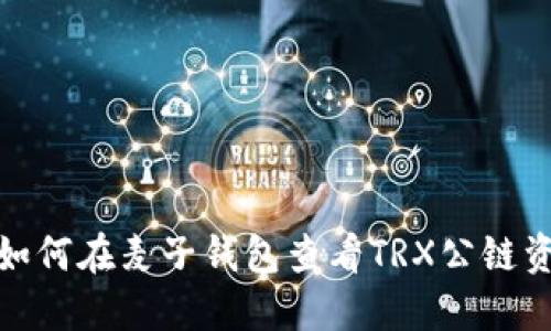 : 如何在麦子钱包查看TRX公链资产
