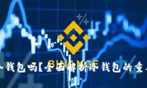 比特币需要冷钱包吗？全面解析冷钱包的重要性与安全性