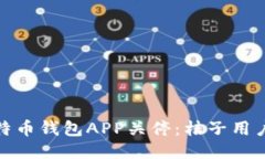 如何应对比特币钱包APP关