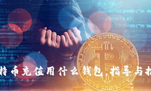比特币充值用什么钱包，指导与推荐