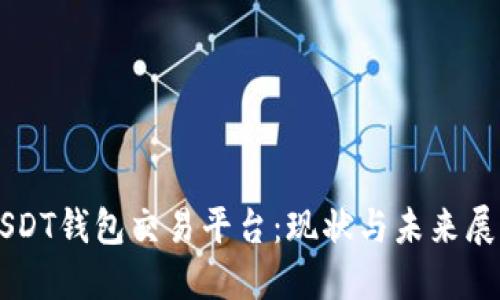 USDT钱包交易平台：现状与未来展望