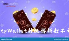 如何解决tpWallet升级博饼打