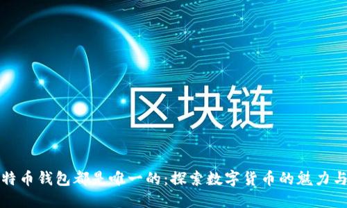 每个比特币钱包都是唯一的：探索数字货币的魅力与安全性