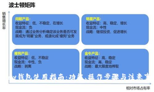 ToPay钱包使用指南：功能、操作步骤与注意事项