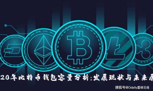 2020年比特币钱包容量分析：发展现状与未来展望