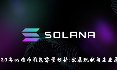 2020年比特币钱包容量分析：发展现状与未来展望