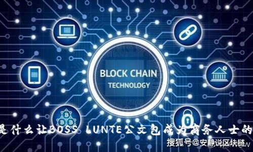 究竟是什么让BOSS LUNTE公文包成为商务人士的首选?