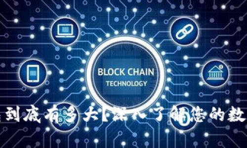 狗狗币钱包到底有多大？深入了解您的数字资产存储