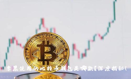 李晨使用的比特币钱包是哪款？深度揭秘！
