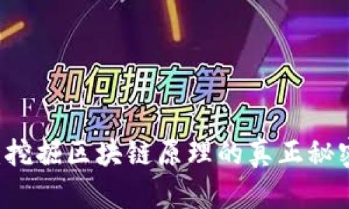 比特币源码钱包：挖掘区块链原理的真正秘密，你准备好了吗？