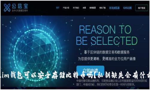 Token.im钱包可以安全存储比特币吗？私钥缺失会有什么影响？