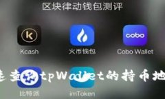 如何快速查询tpWallet的持币