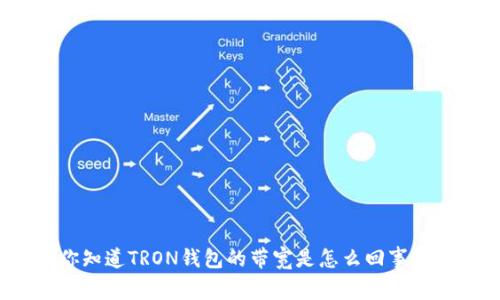 你知道TRON钱包的带宽是怎么回事吗？