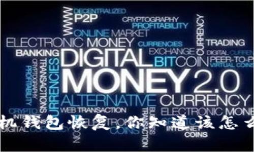 LTC手机钱包恢复，你知道该怎么做吗？