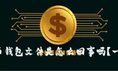 你知道比特币钱包文件是