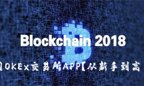 “如何高效使用OKEx交易所APP？从新手到高手的进阶指南”