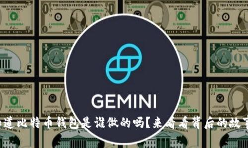 你知道比特币钱包是谁做的吗？来看看背后的故事吧！