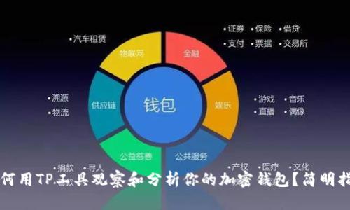 如何用TP工具观察和分析你的加密钱包？简明指南