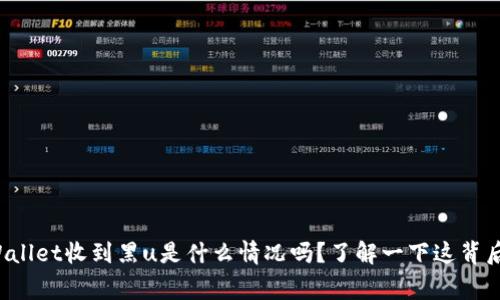 你知道tpWallet收到黑u是什么情况吗？了解一下这背后的故事吧！