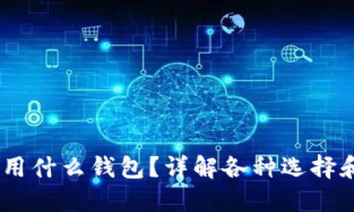 USDT可以用什么钱包？详解各种选择和使用技巧