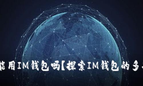 USDT能用IM钱包吗？探索IM钱包的多功能性