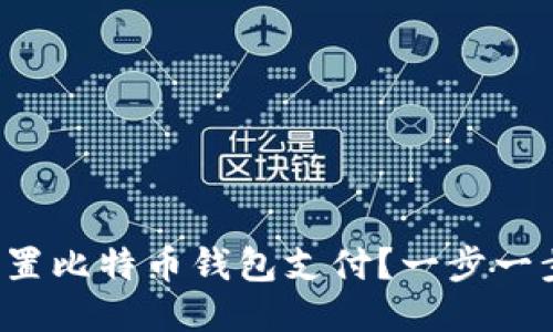 如何轻松设置比特币钱包支付？一步一步教你搞定！