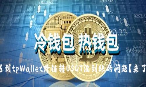 你是否也遇到tpWallet跨链转USDT没到账的问题？来了解一下吧！